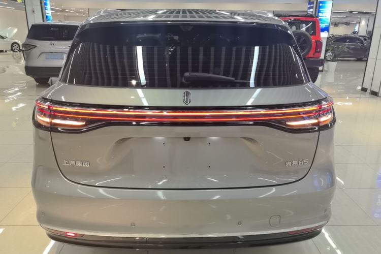 Used Hima H5 2025 Model Pure Electric Max Rear