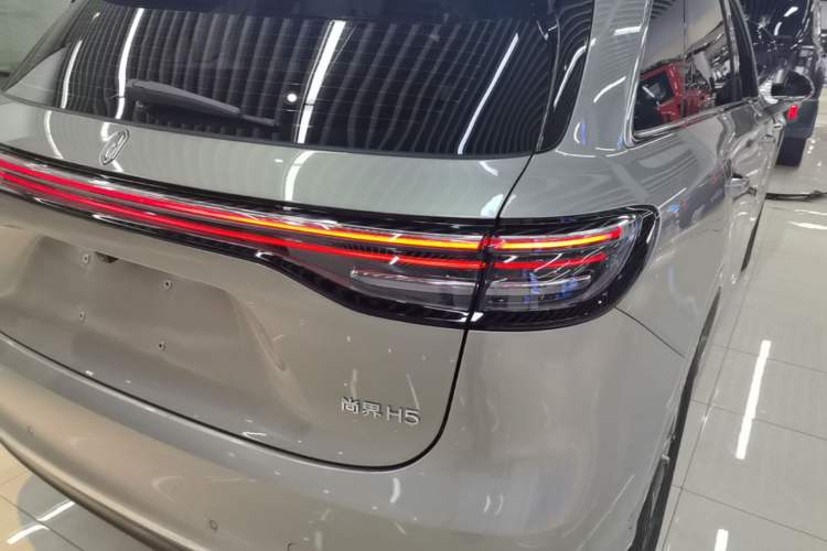 Used Hima H5 2025 Model Pure Electric Max Right Rear Taillight