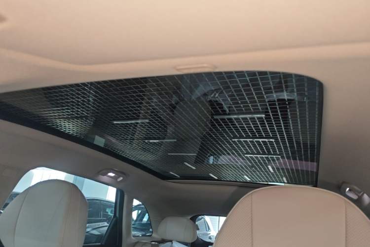 Used Hima H5 2025 Model Pure Electric Max Long Range Headliner