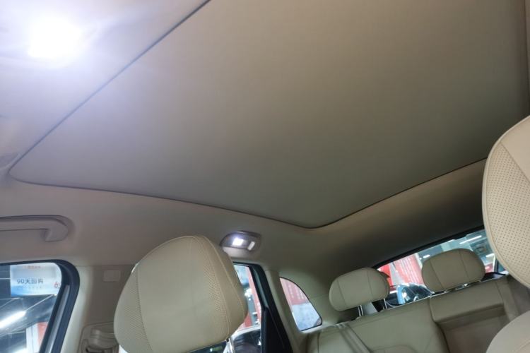 Used Hima H5 2025 Model Pure Electric Max Headliner