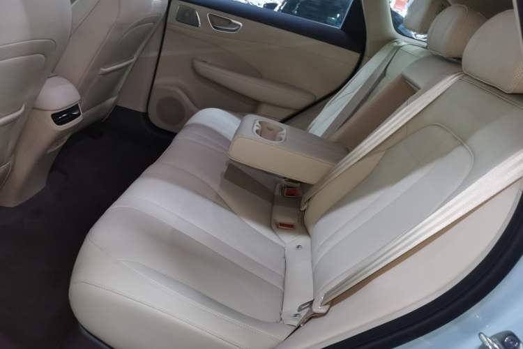 Used Hima H5 2025 Model Pure Electric Max Left Rear Seat