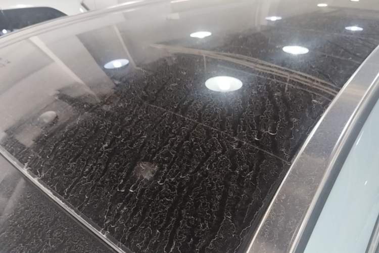 Used Hima H5 2025 Model Pure Electric Pro Roof