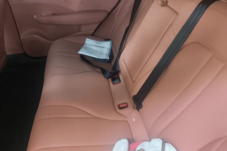 Used Hima H5 2025 Model Pure Electric Pro Left Rear Seat