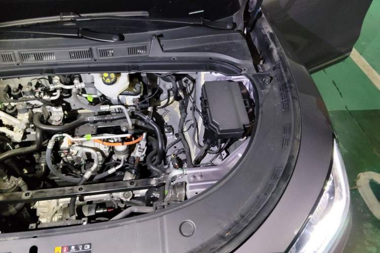 Used Hima H5 2025 Model Pure Electric Max Long Range Engine Bay Left