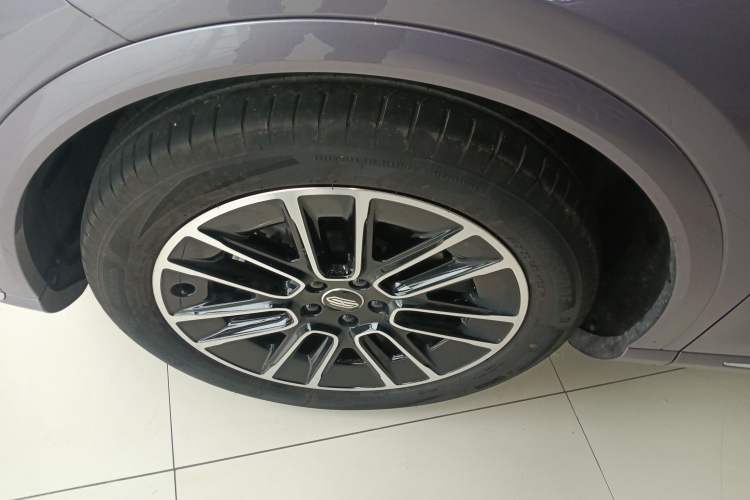 Used Hima H5 2025 Model Range-Extending Max Exterior 4