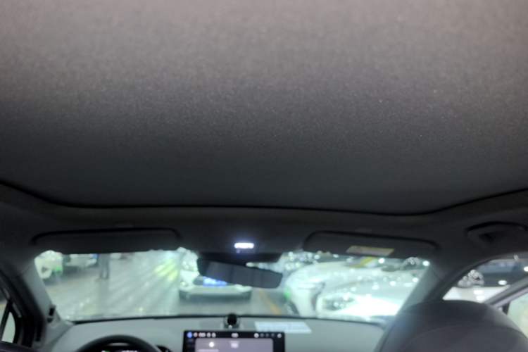 Used Hima H5 2025 Model Pure Electric Max Long Range Headliner