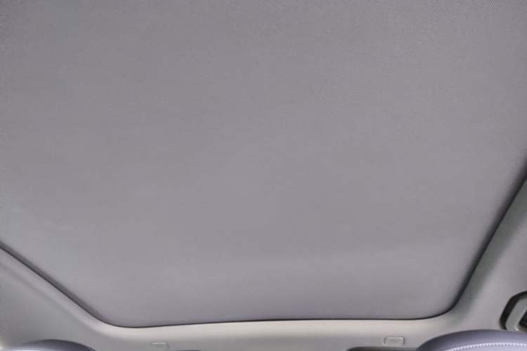 Used Hima H5 2025 Model Pure Electric Max Long Range Headliner