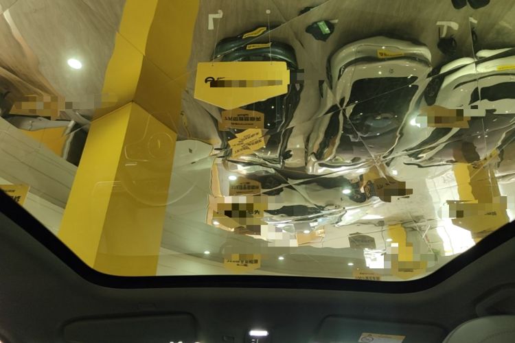 Used Hima H5 2025 Model Pure Electric Max Long Range Headliner