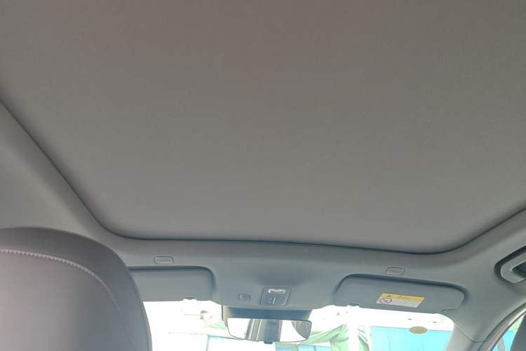 Used Hima H5 2025 Model Pure Electric Max Long Range Headliner