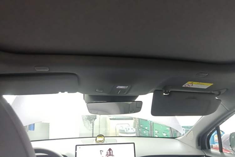 Used Hima H5 2025 Model Pure Electric Max Long Range Headliner
