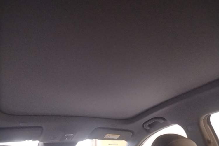Used Hima H5 2025 Model Pure Electric Max Long Range Headliner