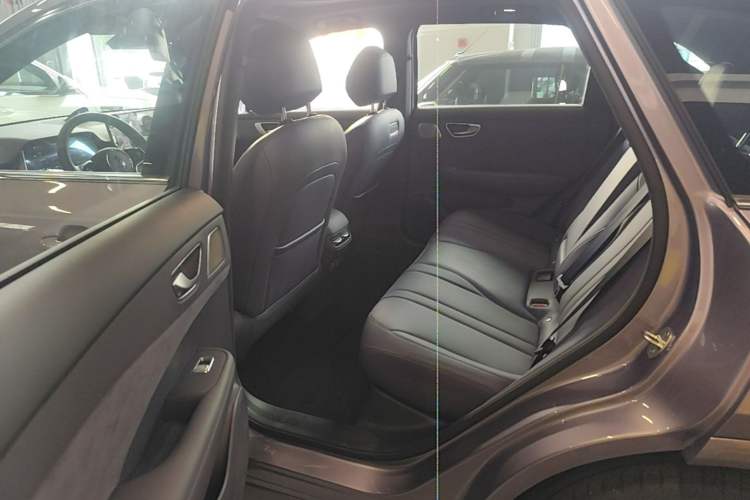 Used Hima H5 2025 Model Range-Extending Max Left Rear Seat