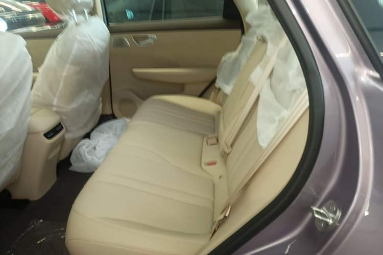 Used Hima H5 2025 Model Range-Extending Max Left Rear Seat