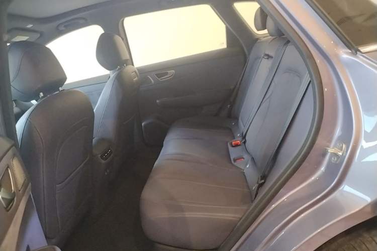 Used Hima H5 2025 Model Pure Electric Max Long Range Left Rear Seat