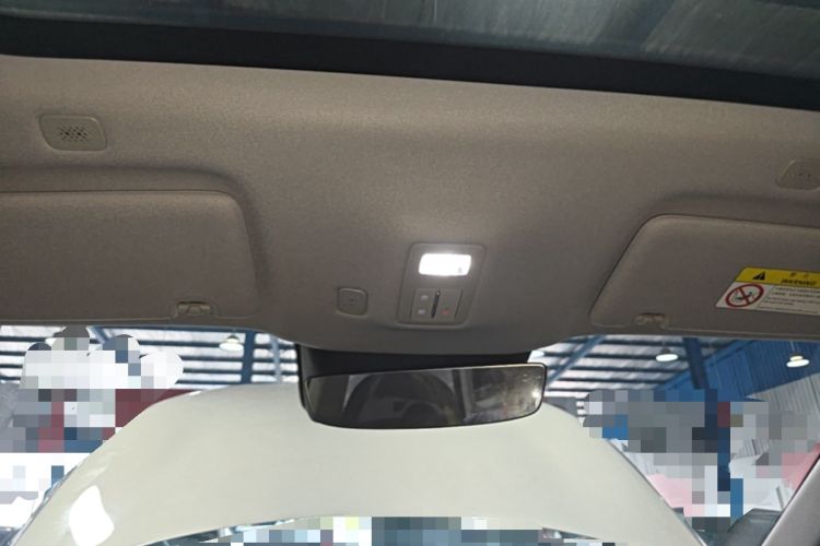 Used Hima H5 2025 Model Pure Electric Pro Headliner