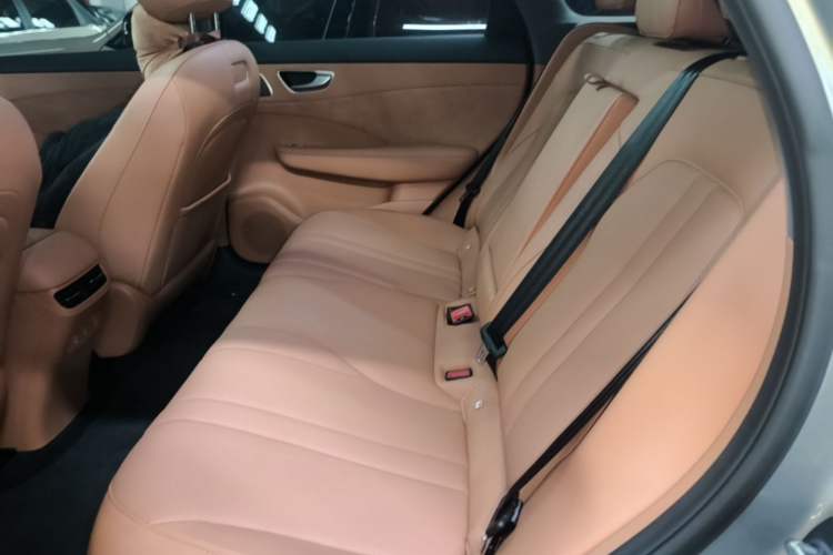 Used Hima H5 2025 Model Pure Electric Pro Left Rear Seat