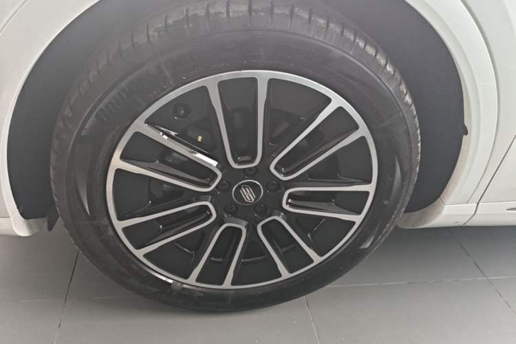 Used Hima H5 2025 Model Range-Extending Max Exterior 2