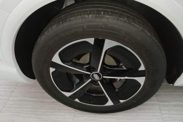 Used Hima H5 2025 Model Range-Extending Max Exterior 3