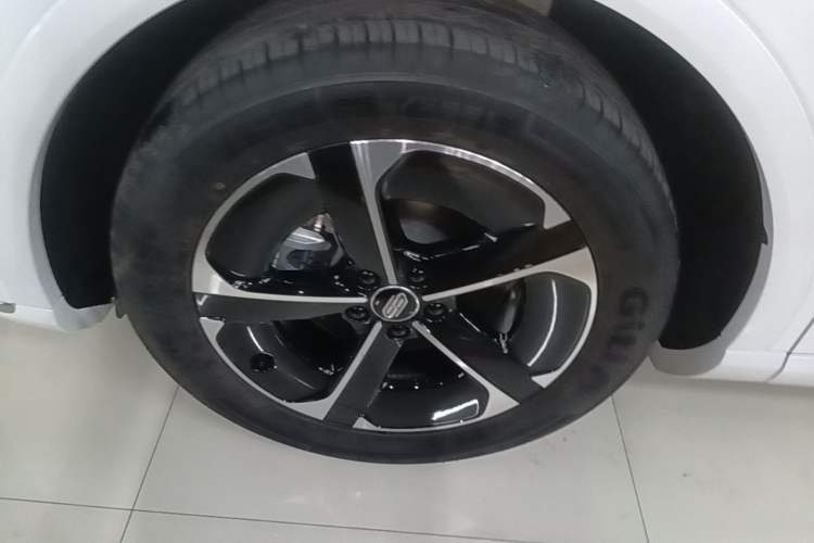 Used Hima H5 2025 Model Range-Extending Max Exterior 4