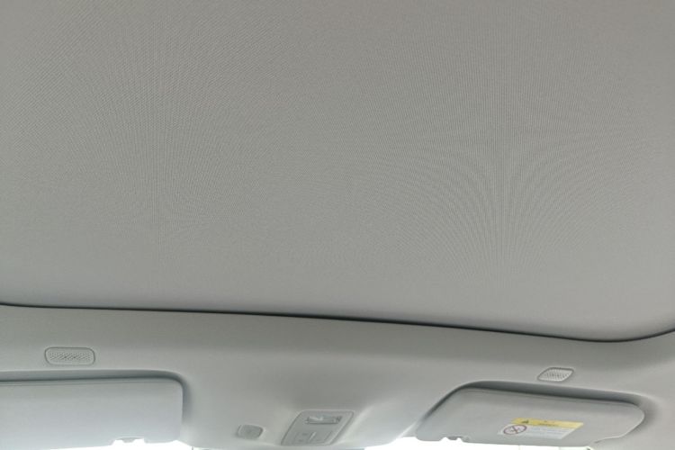 Used Hima H5 2025 Model Pure Electric Max Long Range Headliner