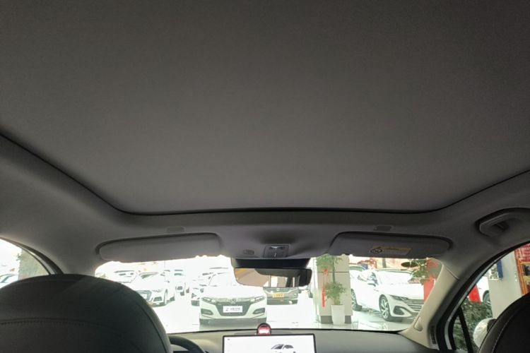 Used Hima H5 2025 Model Pure Electric Max Long Range Headliner