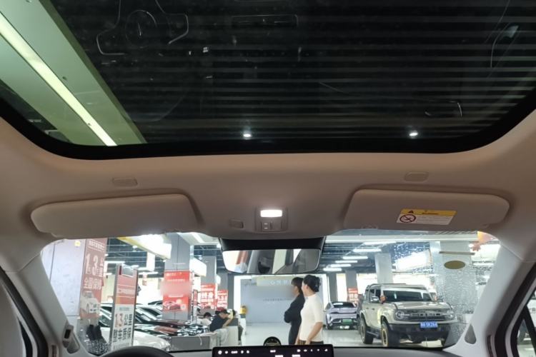 Used Hima H5 2025 Model Pure Electric Max Long Range Headliner