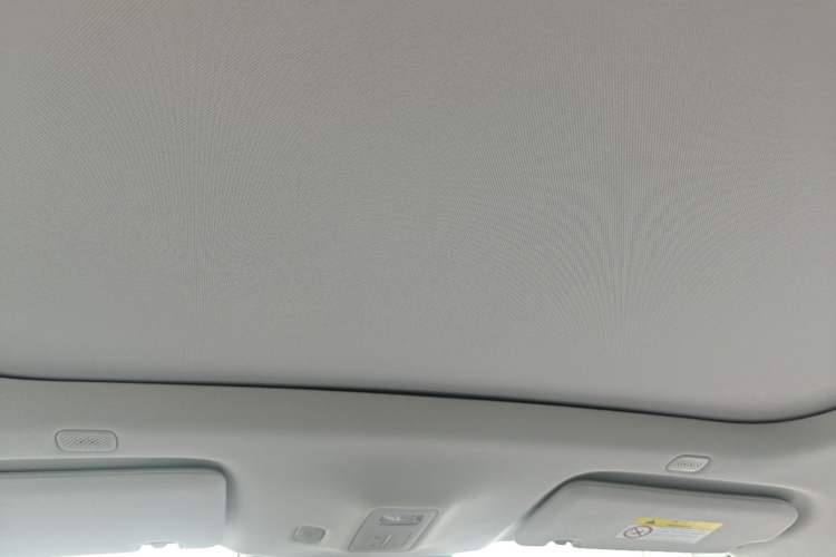Used Hima H5 2025 Model Pure Electric Max Long Range Headliner