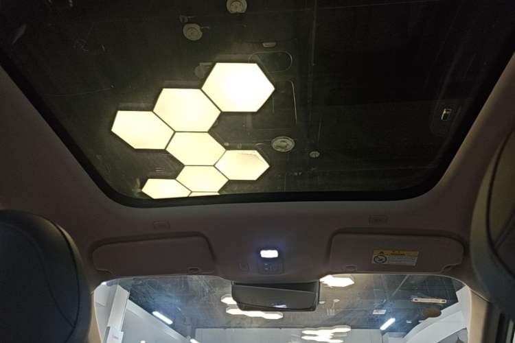 Used Hima H5 2025 Model Pure Electric Max Long Range Headliner