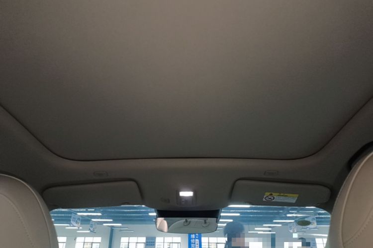 Used Hima H5 2025 Model Pure Electric Max Long Range Headliner
