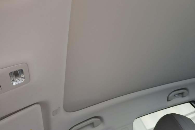 Used Hima H5 2025 Model Pure Electric Max Long Range Headliner