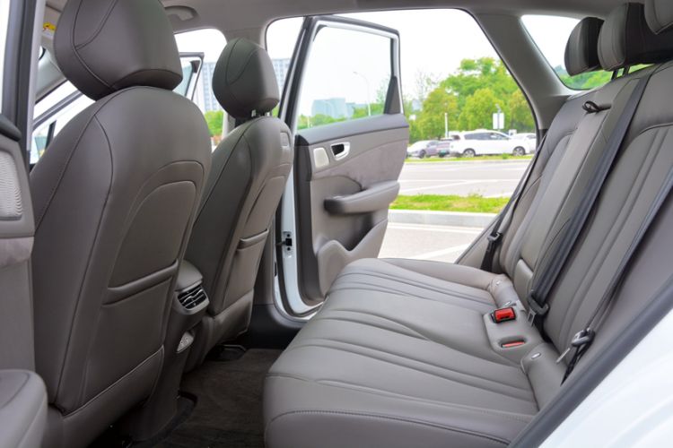 Used Hima H5 2025 Model Range-Extending Max Interior 6