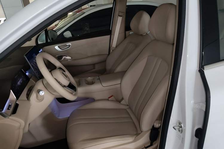 Used Hima H5 2025 Model Pure Electric Max Left Front Seat