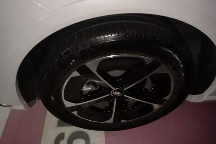 Used Hima H5 2025 Model Range-Extending Max Left Front Wheel Hub