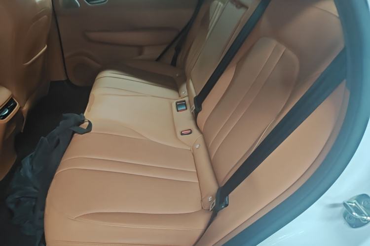 Used Hima H5 2025 Model Range-Extending Max Left Rear Seat