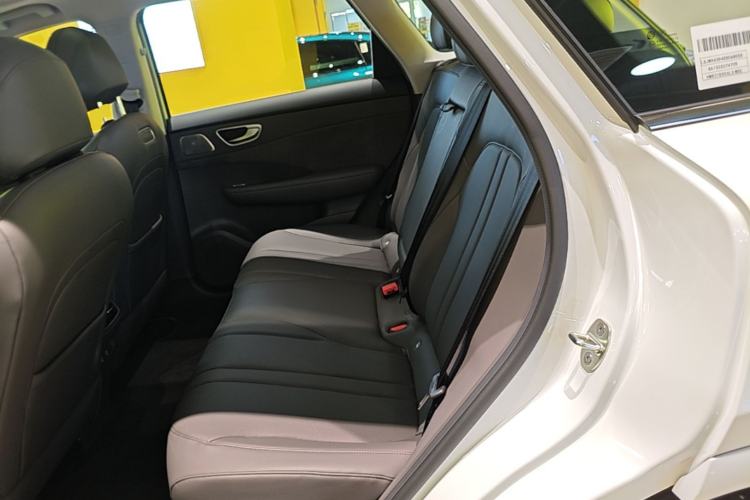 Used Hima H5 2025 Model Range-Extending Max Left Rear Seat