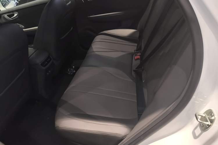 Used Hima H5 2025 Model Range-Extending Max Left Rear Seat