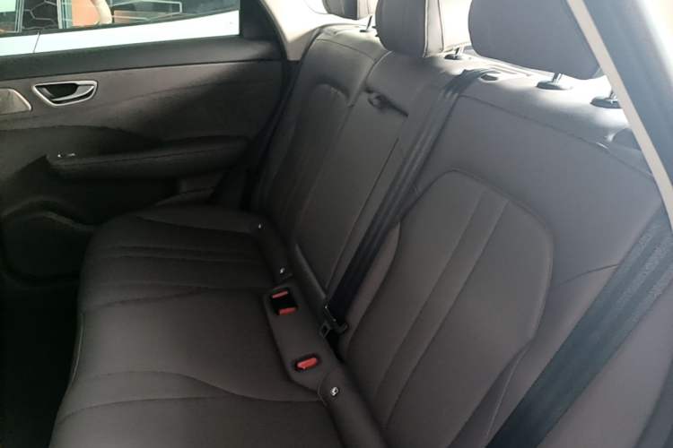 Used Hima H5 2025 Model Range-Extending Max Left Rear Seat
