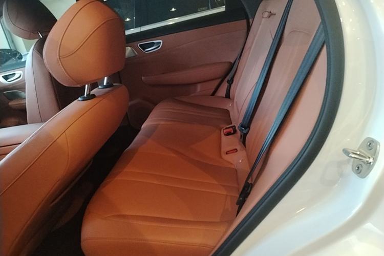 Used Hima H5 2025 Model Range-Extending Max Left Rear Seat