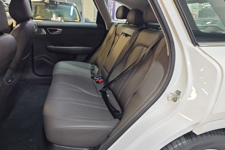 Used Hima H5 2025 Model Pure Electric Max Long Range Left Rear Seat