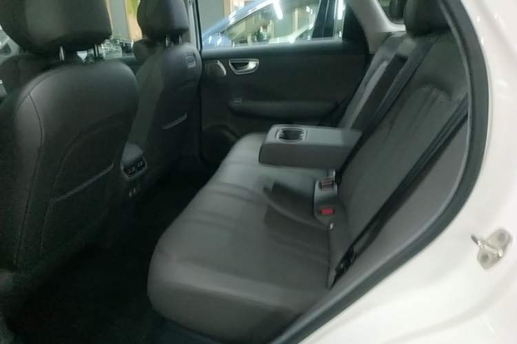 Used Hima H5 2025 Model Range-Extending Max Left Rear Seat