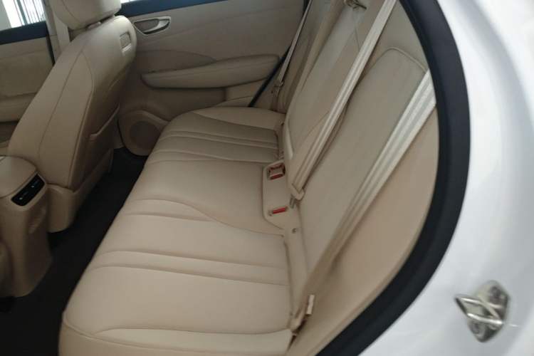 Used Hima H5 2025 Model Pure Electric Pro Left Rear Seat
