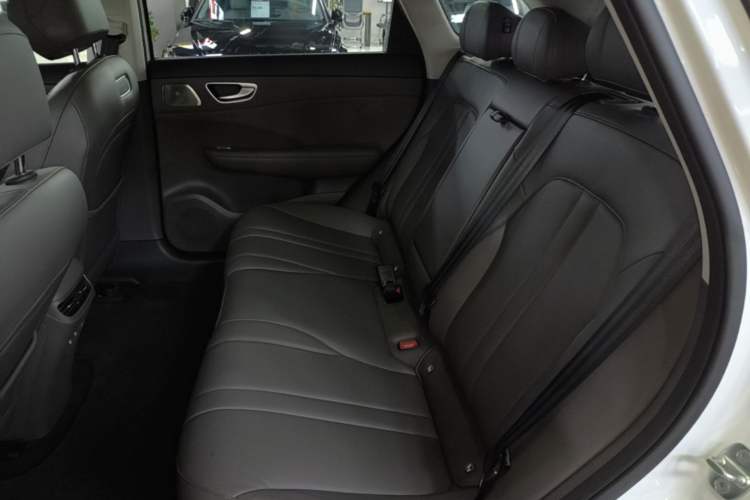 Used Hima H5 2025 Model Pure Electric Max Long Range Left Rear Seat