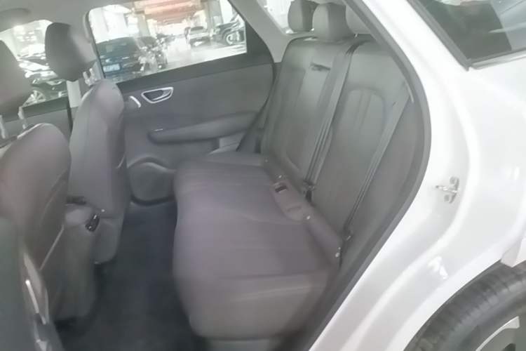 Used Hima H5 2025 Model Range-Extending Max Left Rear Seat