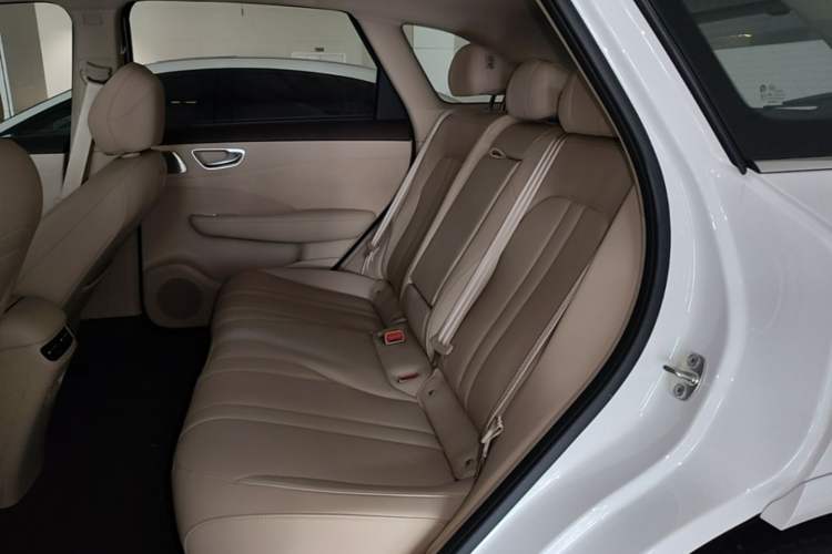 Used Hima H5 2025 Model Pure Electric Max Left Rear Seat
