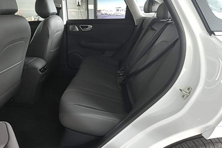 Used Hima H5 2025 Model Range-Extending Max Left Rear Seat