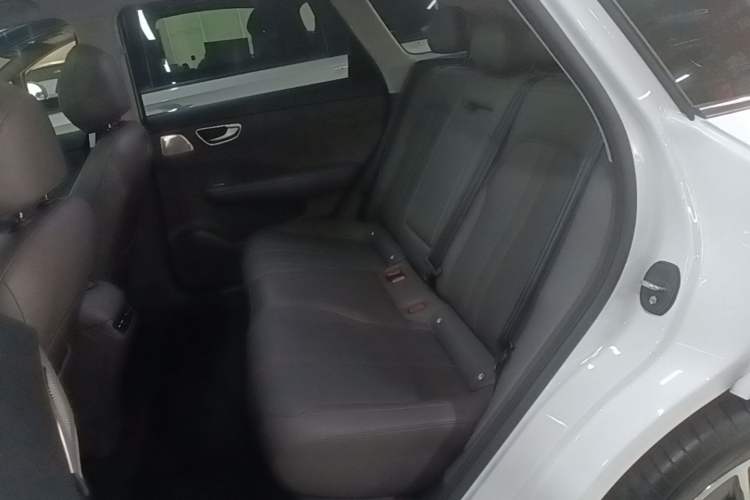 Used Hima H5 2025 Model Pure Electric Max Long Range Left Rear Seat
