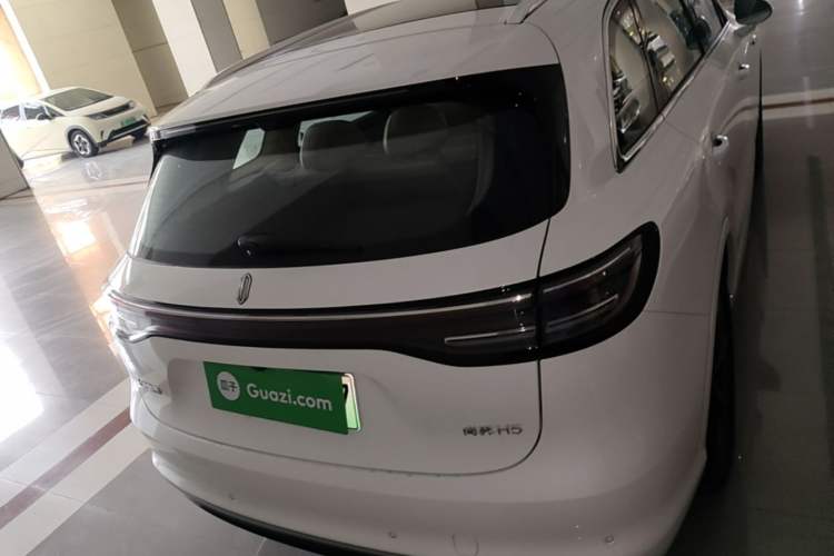 Used Hima H5 2025 Model Pure Electric Max Rear