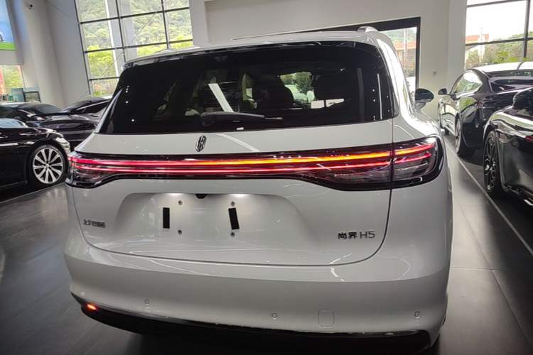 Used Hima H5 2025 Model Range-Extending Max Rear