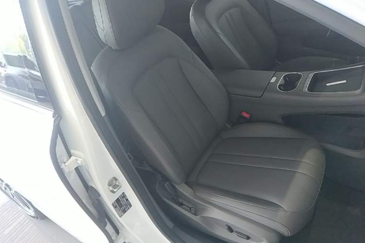 Used Hima H5 2025 Model Pure Electric Max Long Range Right Front Seat