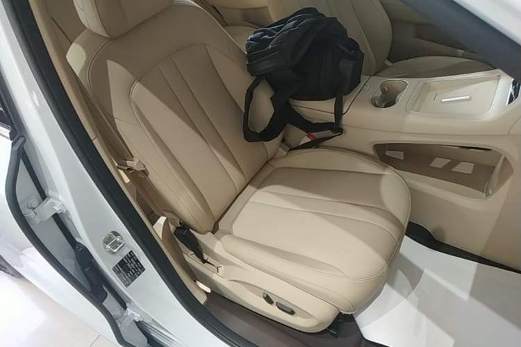 Used Hima H5 2025 Model Pure Electric Pro Right Front Seat